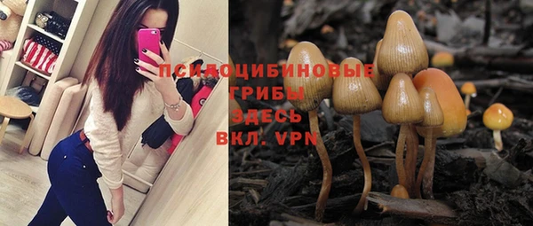 Альфа ПВП Абаза
