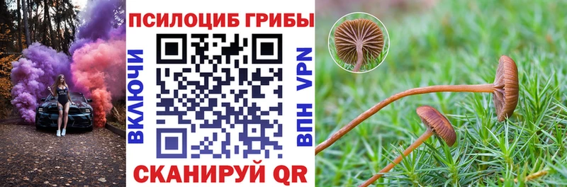 Псилоцибиновые грибы Psilocybine cubensis  ОМГ ОМГ вход  Кингисепп 