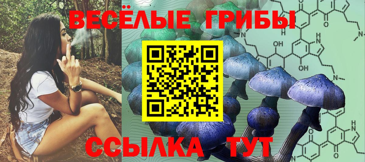 Псилоцибиновые грибы Magic Shrooms  Галлюциногенные грибы ЛСД  купить наркотики сайты  Кингисепп  Вход с VPN 